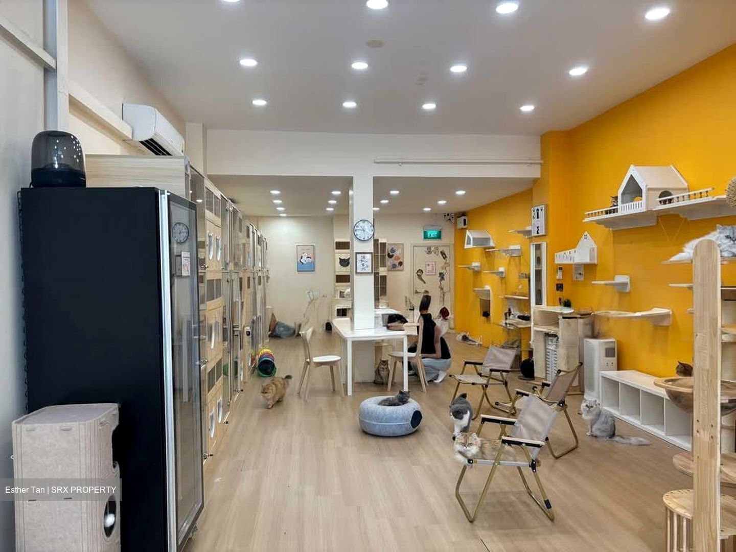 Geylang Road (D14), Shop House #544868591